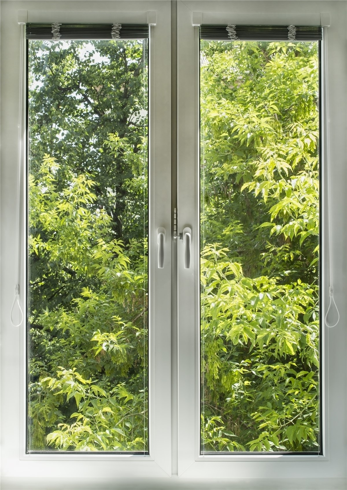 Casement Windows 3